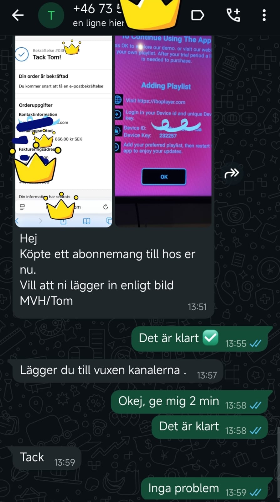 German IPTV Kundenbewertung – authentischer Screenshot 5