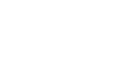 Pplus Marketing Site Logo White.png